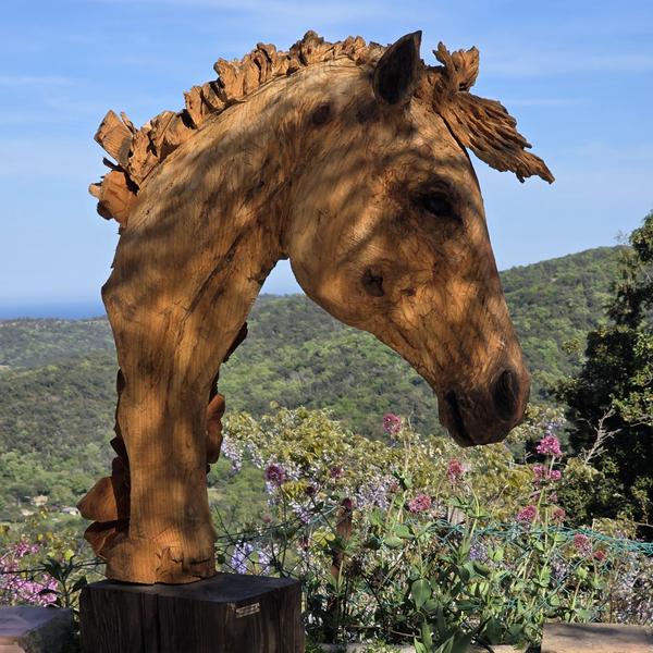 Je rêve juste de liberté par Sylvain Dautremay - Gassin