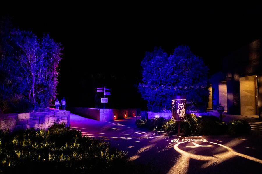 Les Soirées de Chauvet