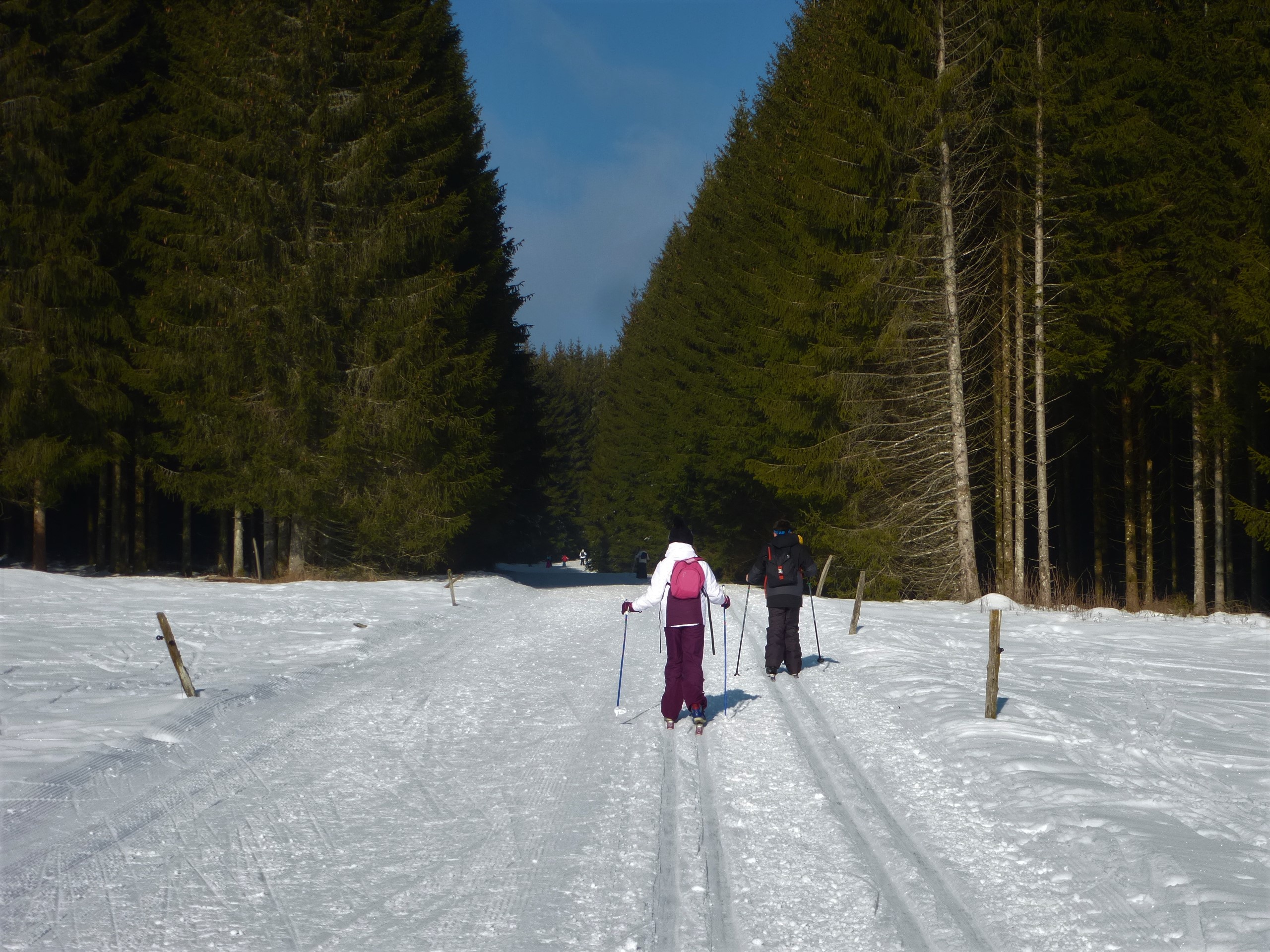 Piste verte de ski de fond de Lachat : Les Plnes