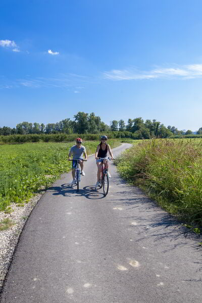 ViaRhôna à Lamotte du Rhône