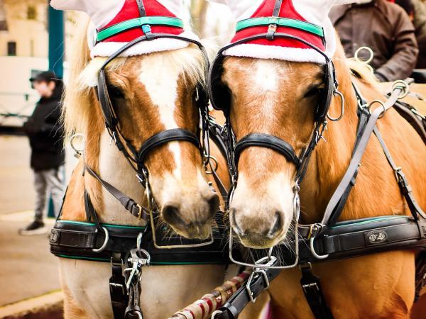 Calèche de Noël - © Ville de Dammarie-lès-Lys