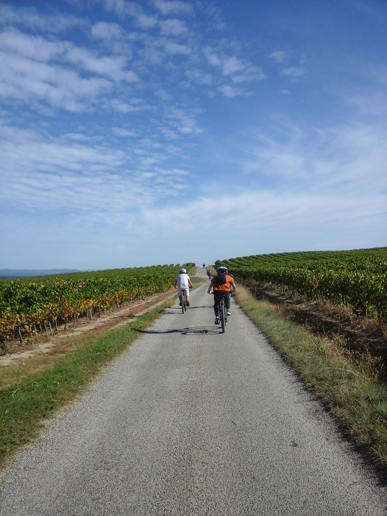 Randonnée guidée Vélo éléctrique