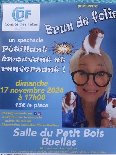 http://Soirée%20spectacle%20%20Brun%20de%20folie