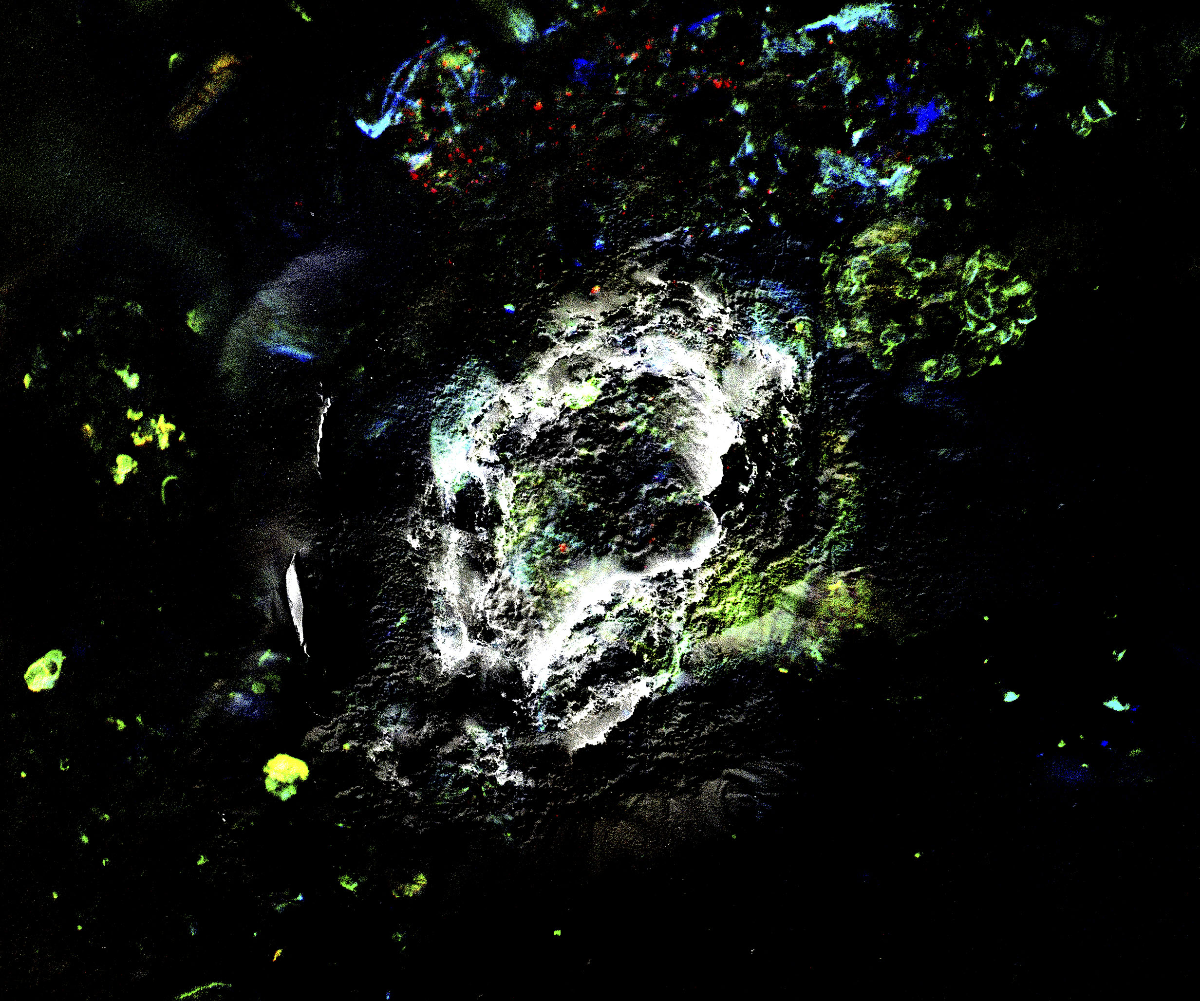 Exposition de  l&rsquo;artiste Tadzio