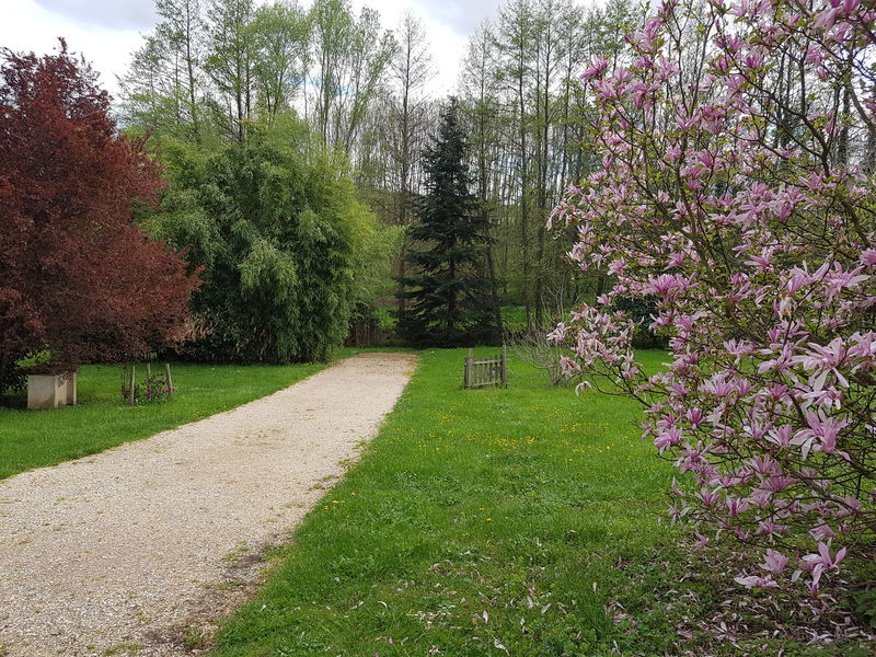 Camping chez le Vigneron à JULLIE
