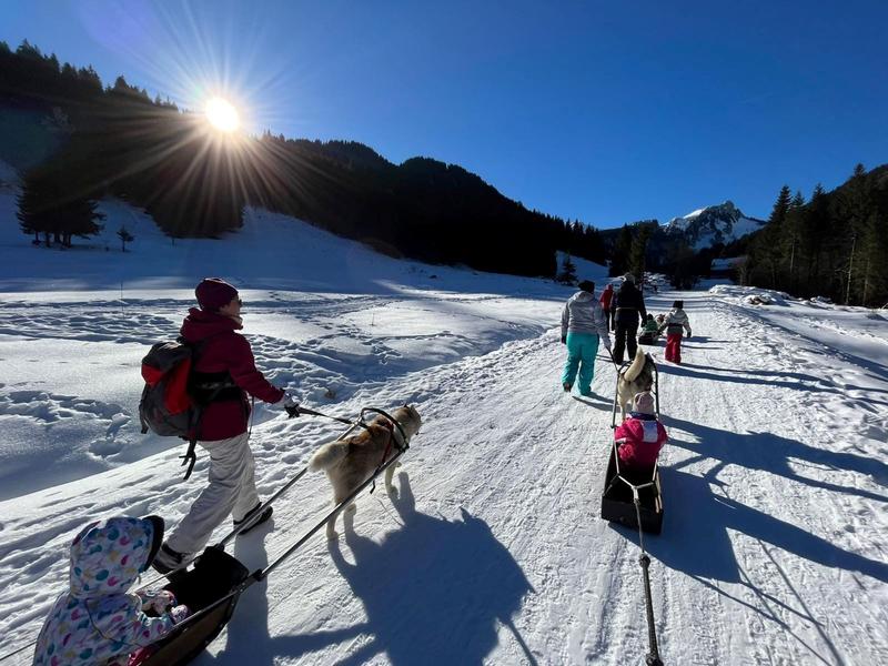 Pulka Scandinave avec les chiens de traîneaux_Bellevaux