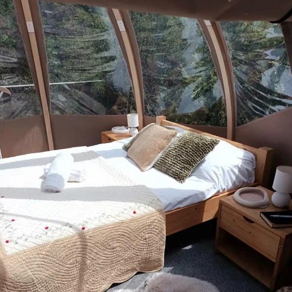 La bulle à ossature bois_Champfromier