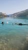 Passion Dog 04_Castellane