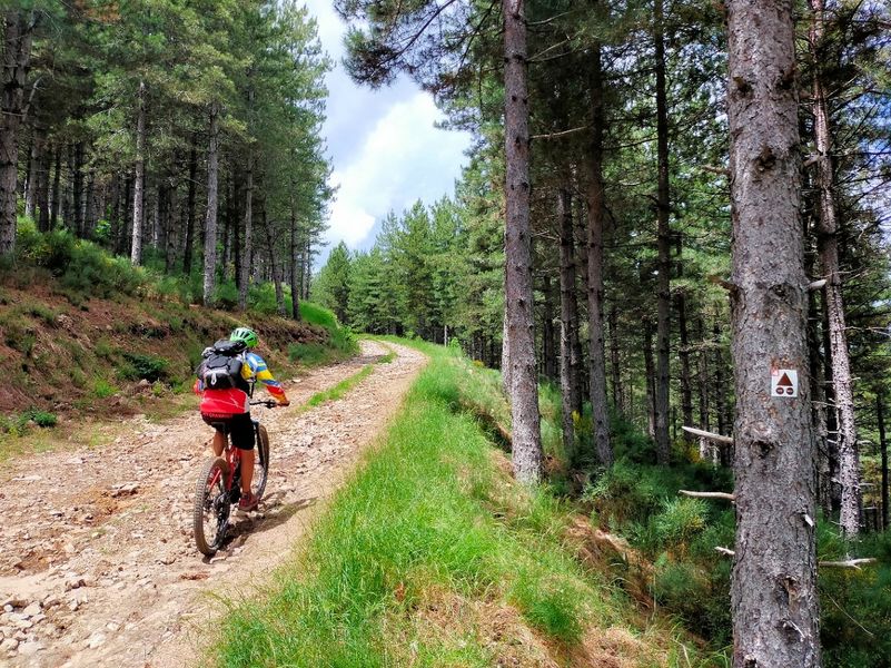 Jaujac - Base vtt parcours 4 col de la croix de millet par le volcan ©M.Barkats