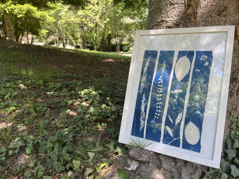 Atelier Cyanotype