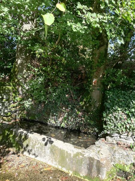 Tour du Lac d'Aiguebelette à cheval_Entre-deux-Guiers