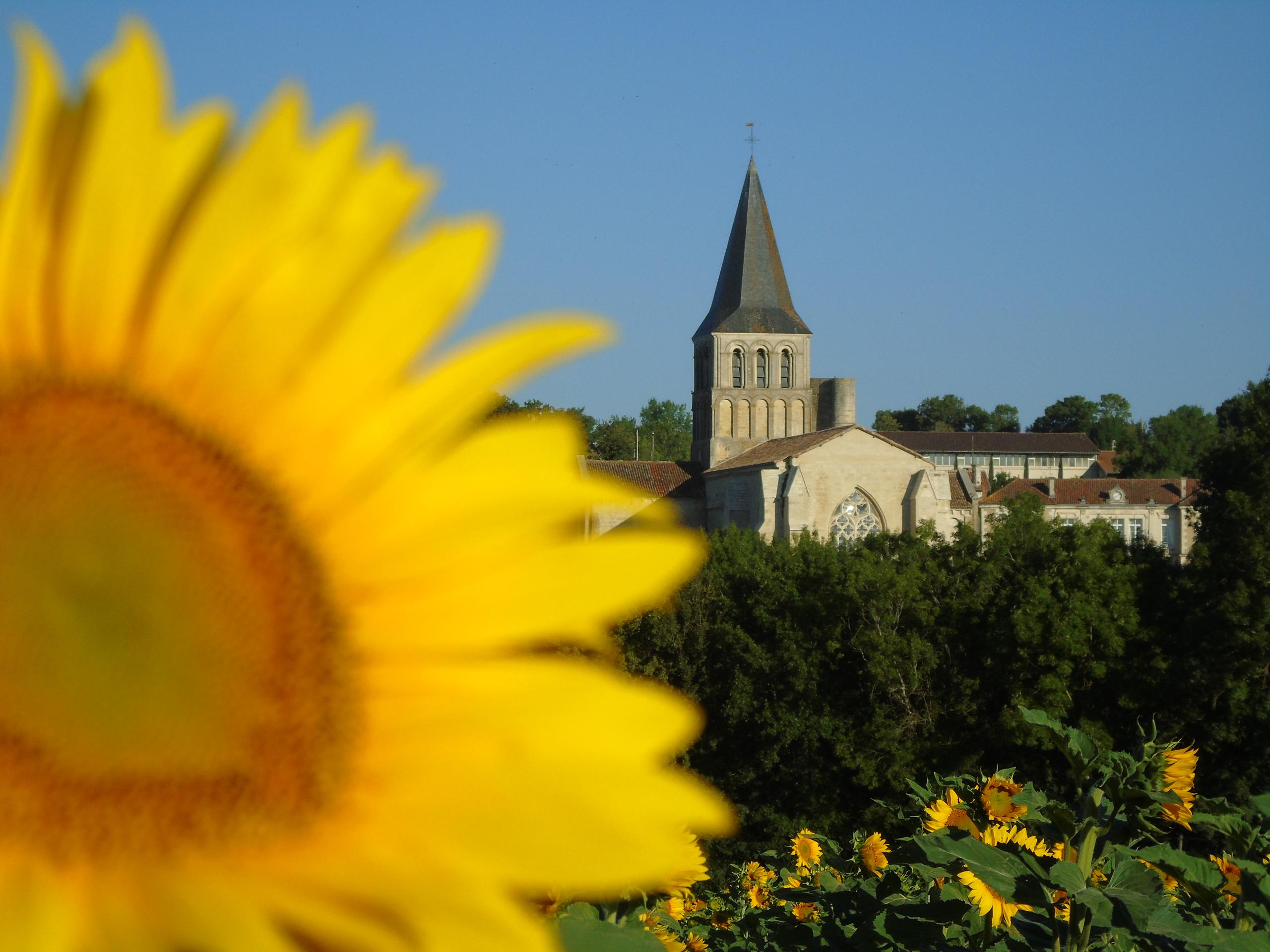 Visite guidée de l'abbaye