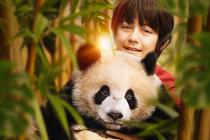 Moon le panda - Cinéma Jeune Public_Usson-en-Forez