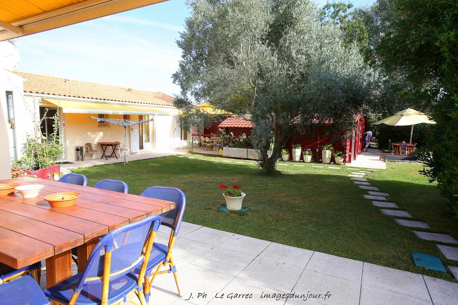Grand jardin avec un olivier vu de la terrasse