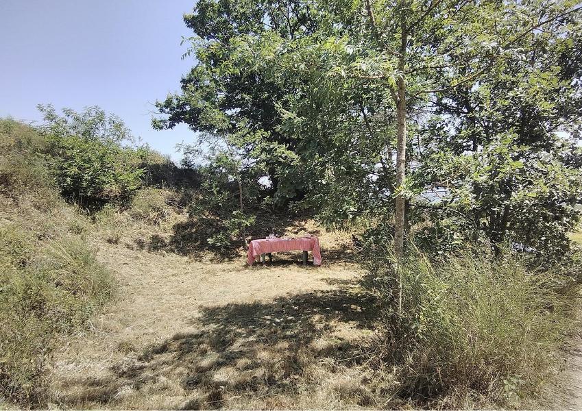 PLATEAU DE GRILLE MIDI