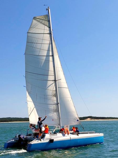 Sortie biodiversité et voile