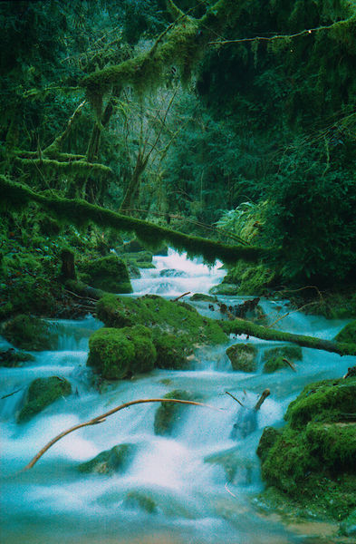 Canyon de Fontaine noire