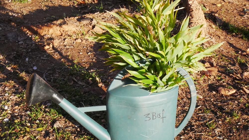 Atelier jardin d'art et d'essai_Aix-en-Provence