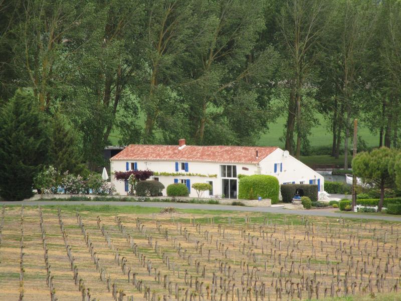Vue extérieure avec les vignes