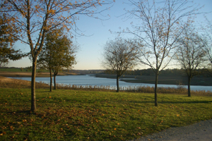 Aire de Pique-Nique Les Versennes