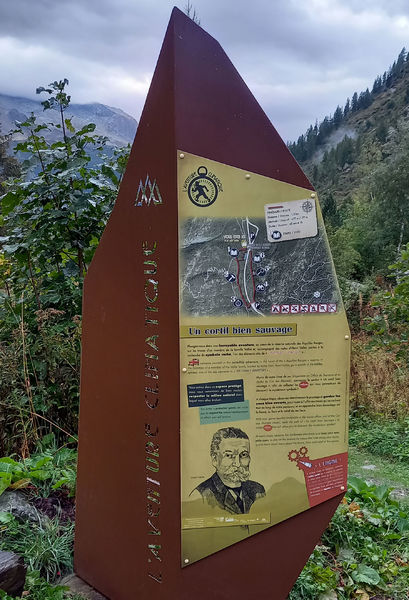 Un cortil bien sauvage