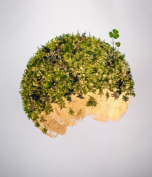 Exposition de Yannick Lenoir et Oxalea_Crest-Voland