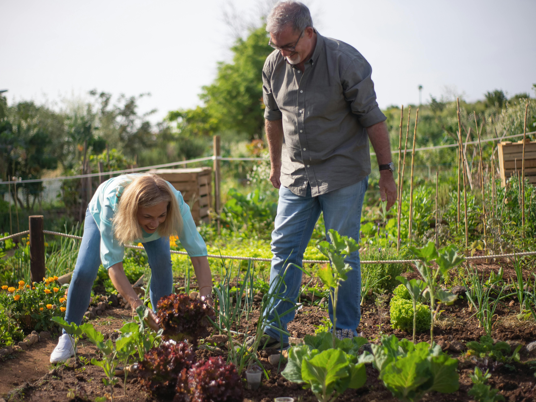 Atelier jardinage - Créez votre potager bio