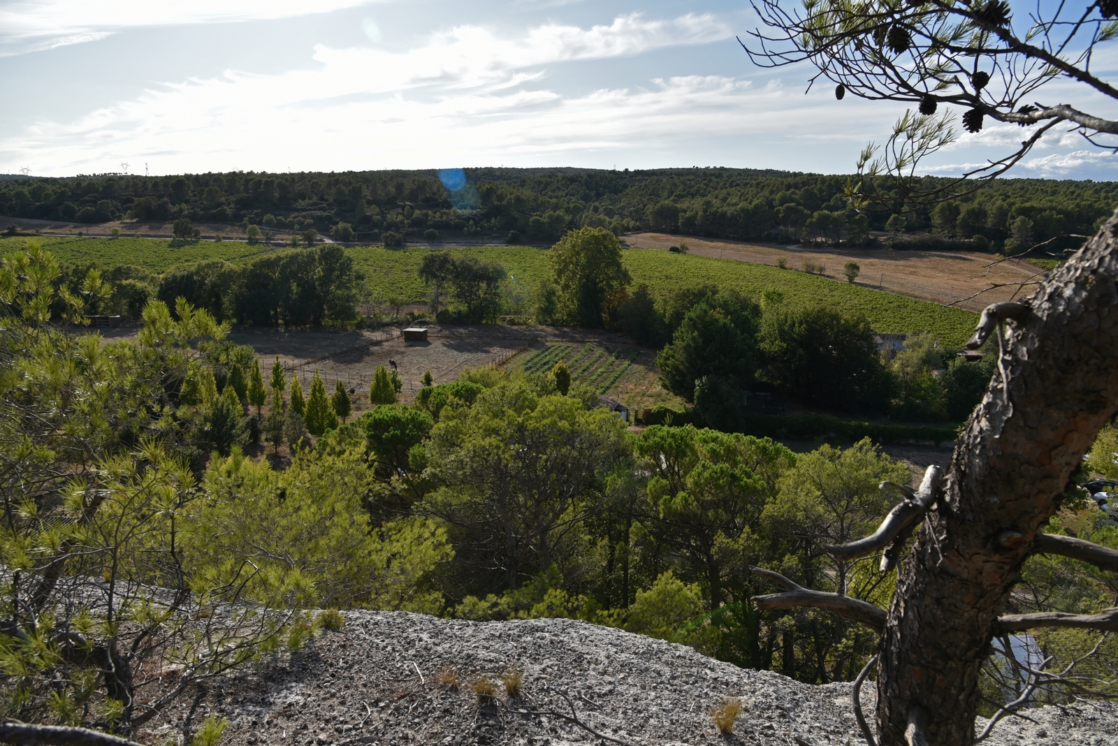 Domaine de la Mérindole, Aix-en-Provence - photo 4