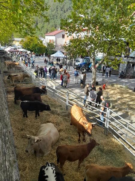 Foire agricole