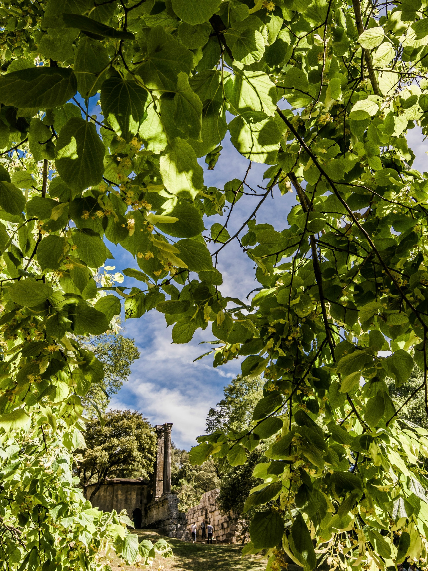 Aux environs de Château Bas, Vernègues - photo 2