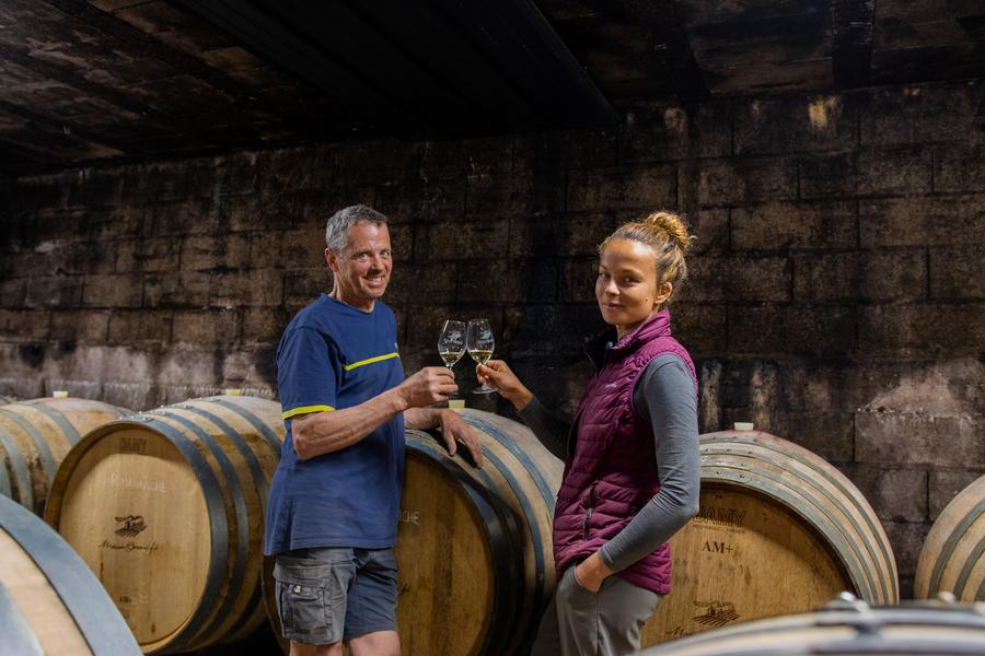 Les sens de la vigne