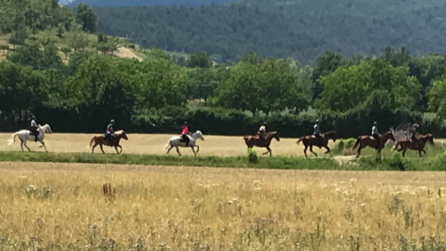 Galop