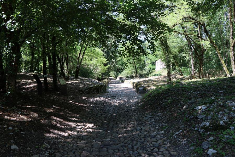 Exposition : Jacominus Gainsborough de Rebecca Dautremer s’installe en résidence dans la cité de Quirieu_Bouvesse-Quirieu