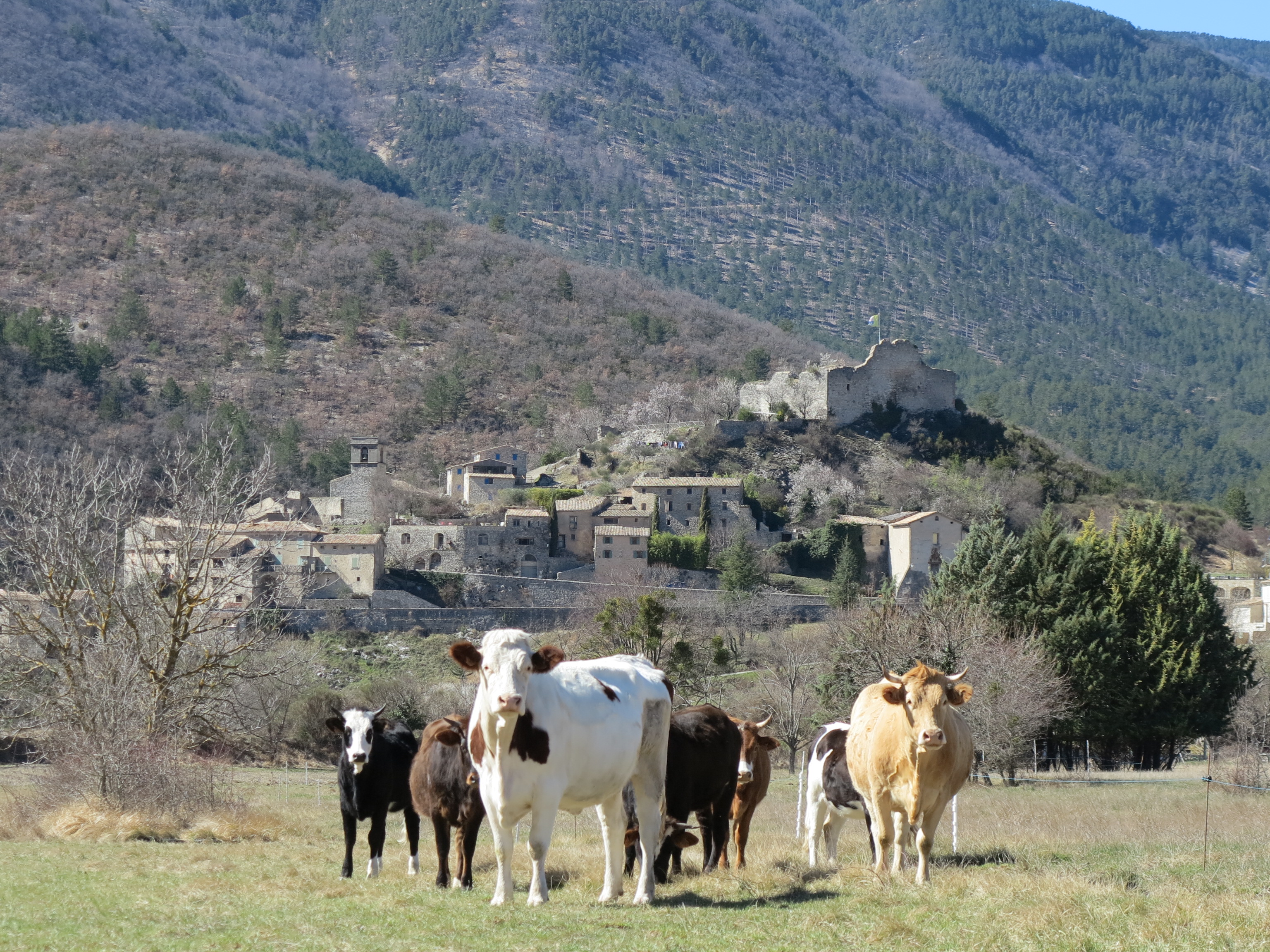 La Ferme de Margolive