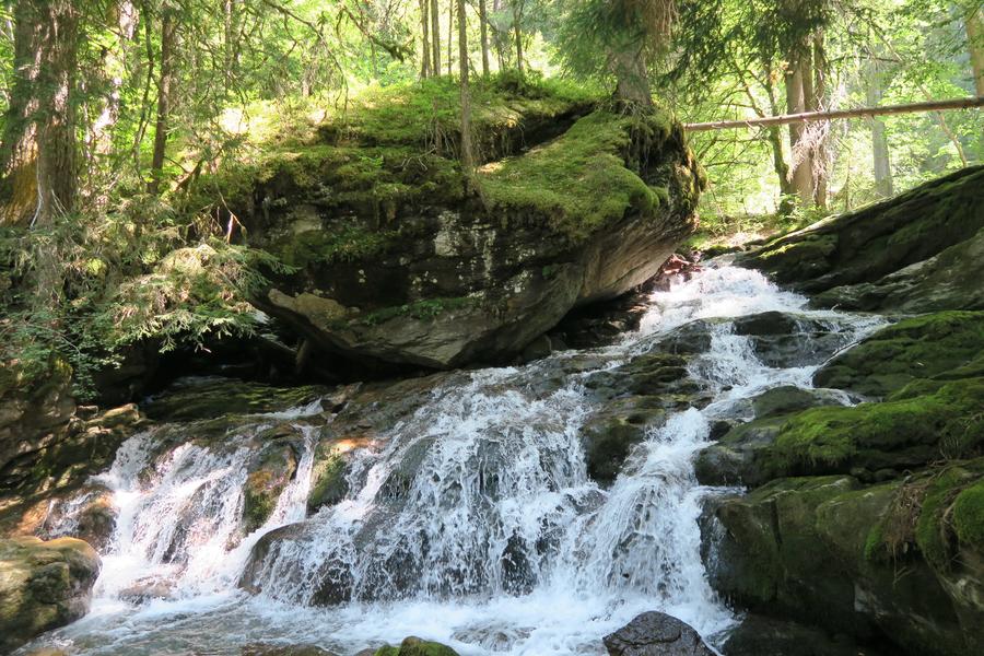 Sentier pédestre : Ardent aux Lindarets_Montriond