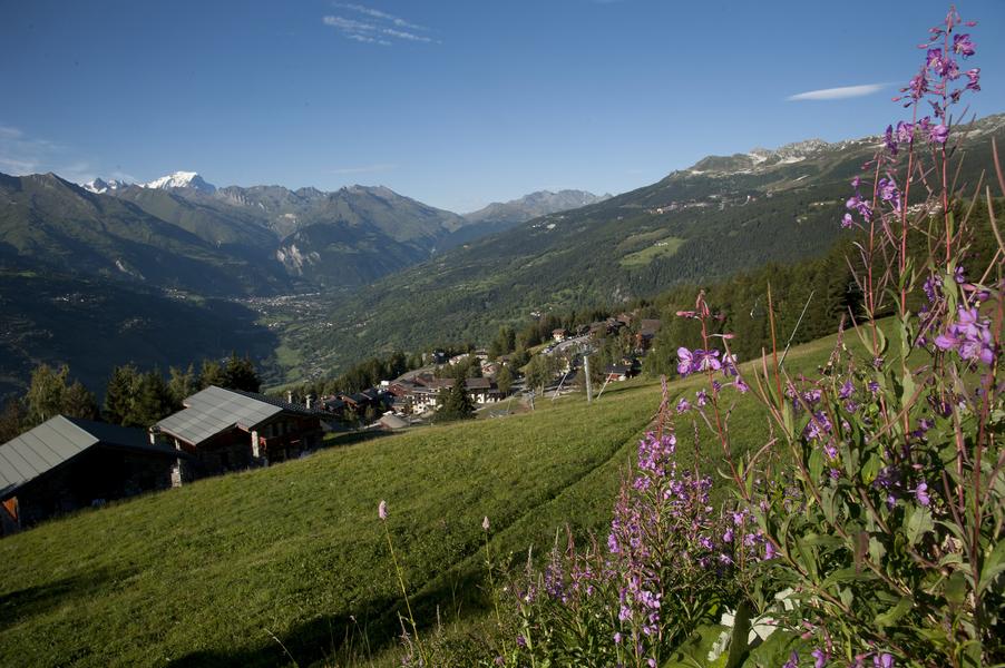 Vue sur le Mont Blanc