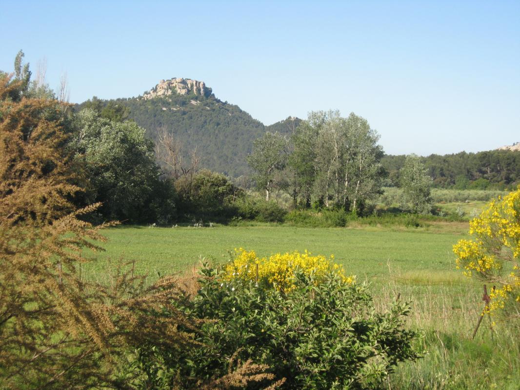 LA GLYCINE, Les Baux-de-Provence - photo 48