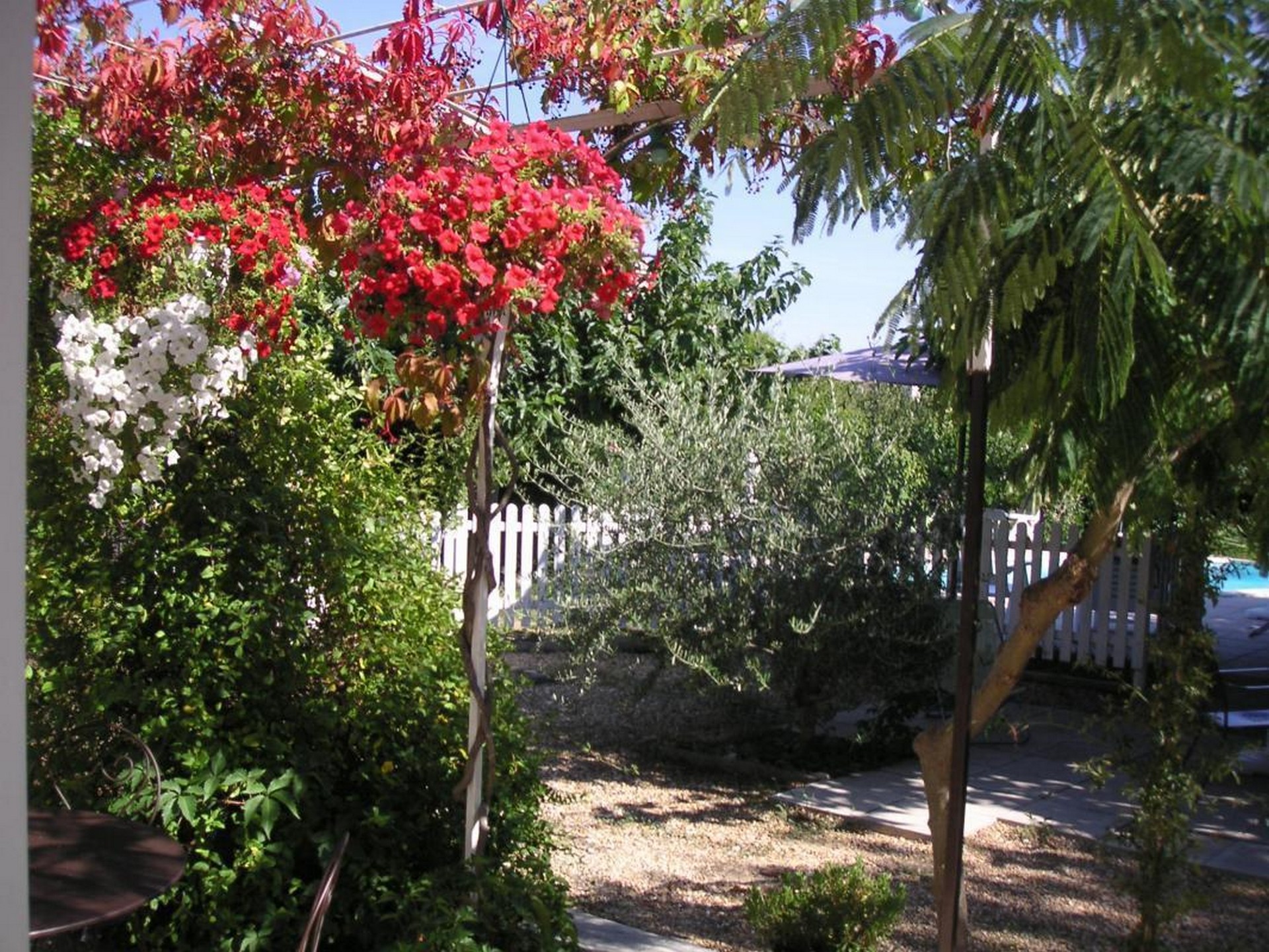 La Vigueirado - Gîte Camargue