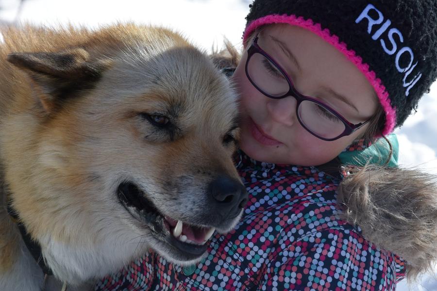 Petit Musher_Risoul - © Les traineaux de la Forêt Blanche