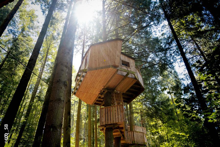 cabane dans les arbres