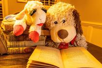 Club de lecture enfants avec Virginie_Villars