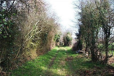 Turgon sentier des sangliers