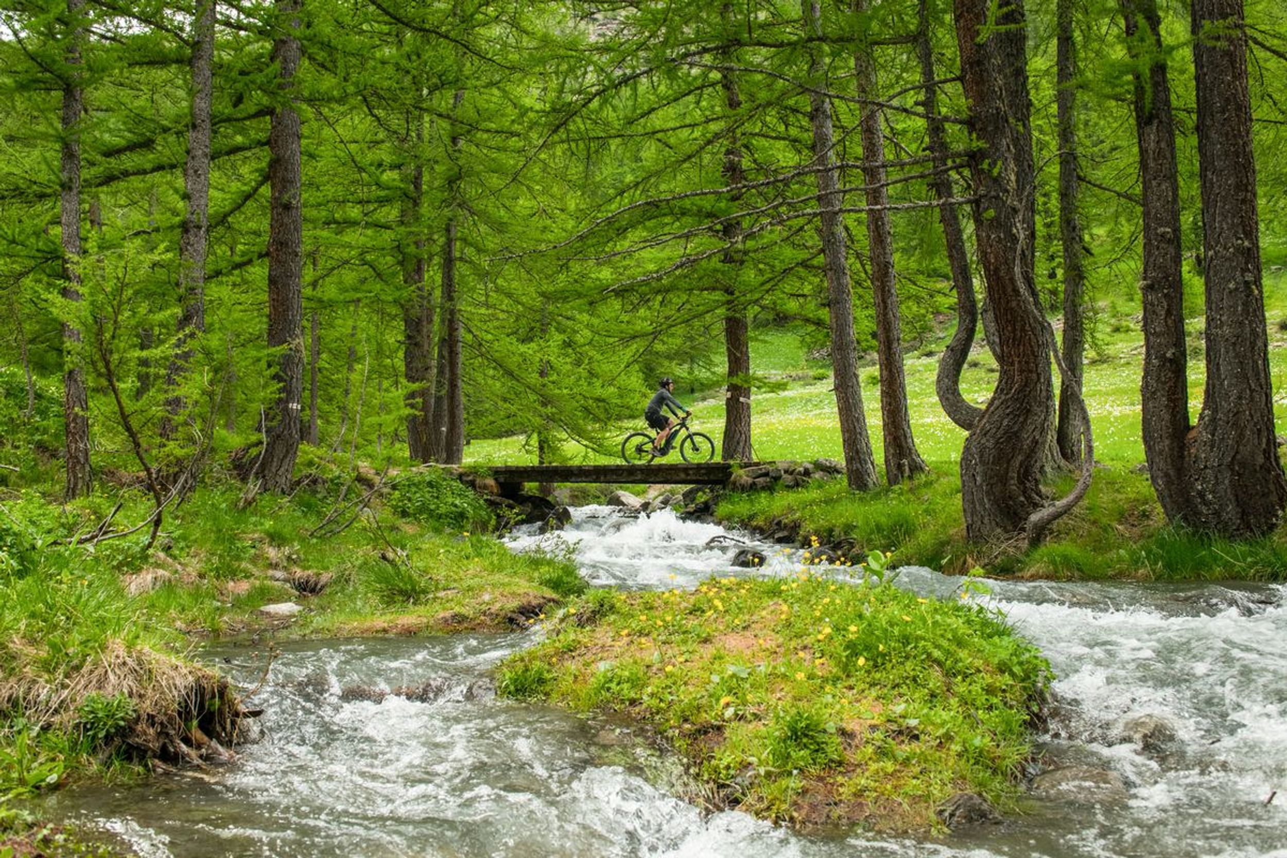 photosFeed-https://static.apidae-tourisme.com/filestore/objets-touristiques/images/108/18/30741100.jpg