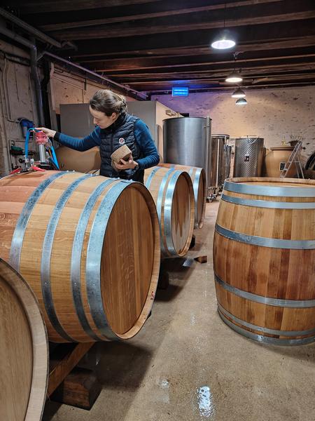 Château des Bachelards à Fleurie