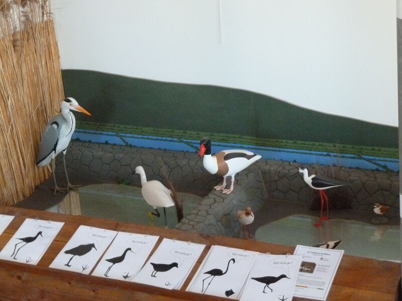 Espace Nature des Vieux Salins