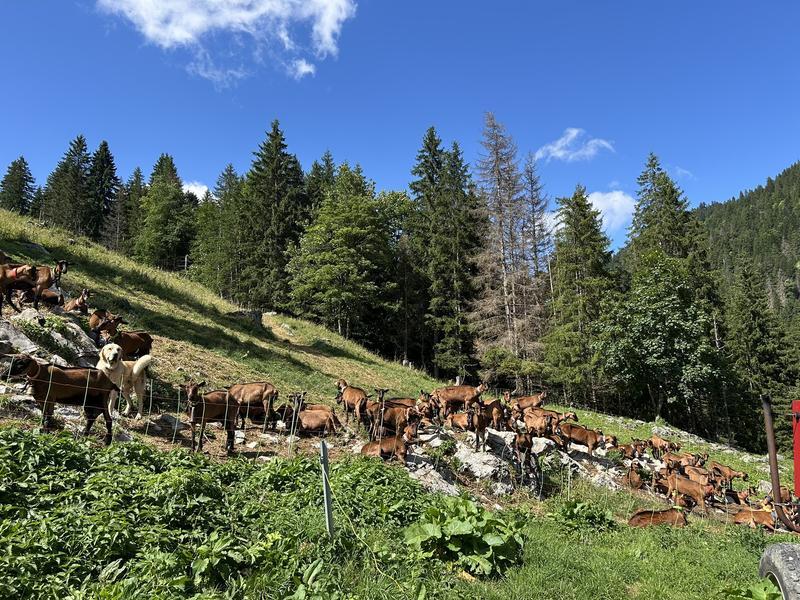 La ferme de Sommier d'Aval 