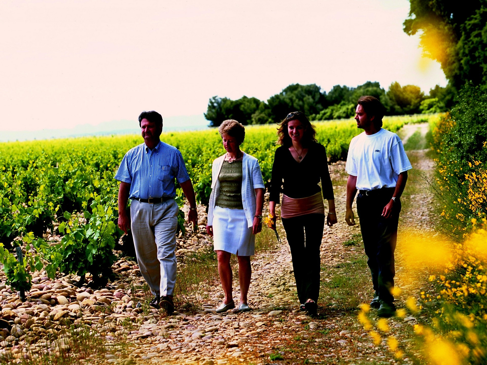 Domaine Houchart - Famille Quiot