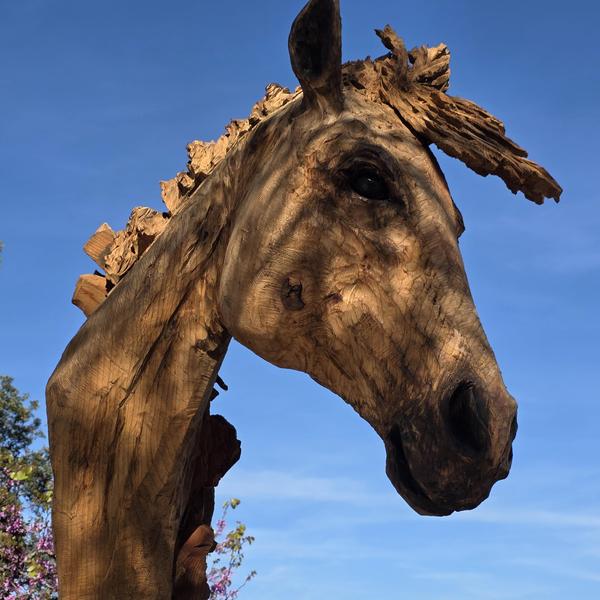 Je rêve juste de liberté par Sylvain Dautremay - Gassin