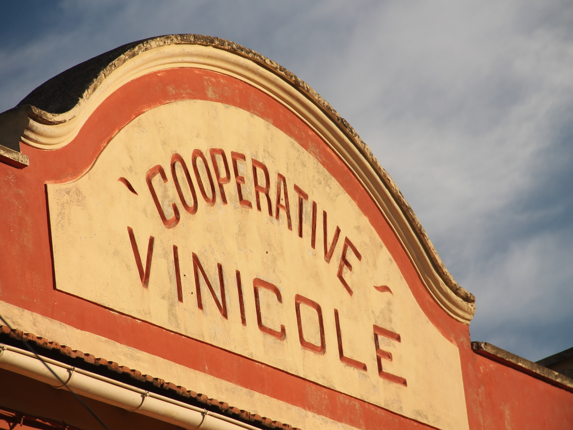 Coopérative vinicole — photo 2