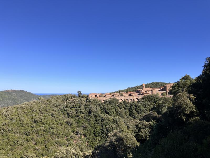 Chartreuse de la Verne_Collobrières